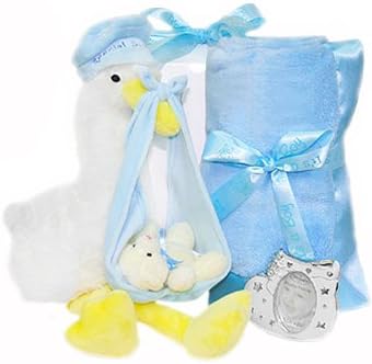 Stork Delivery New Baby Boy Gift Set