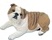 BULL DOG Brindle RESIN Lays Bulldog BIG GUY 184B