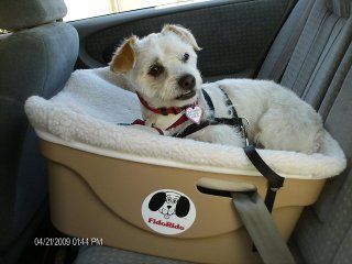 FidoRido Pet Car Seat - One-Seater Holds Dogs Up to 30 Lbs. - Tan