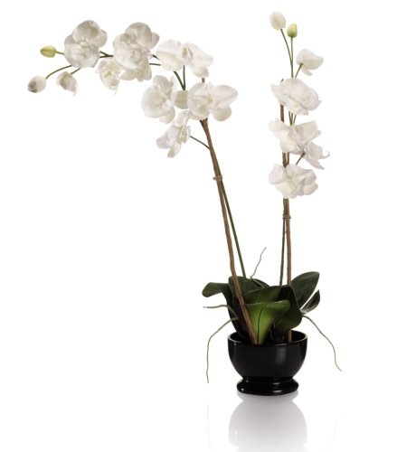 Double Orchids Arrangement with Small Bowl Vase