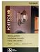 Portfolio Outdoor Wall Lantern Rust Finish (0319426)
