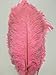 AMIZOB Pack of 5pcs Natural Bleached Dyed Ostrich Feathers 15.7~17.7inch Plumes Wedding Centerpieces Home Decoration (Pink)