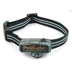 PetSafe In-Ground Deluxe Little Dog Extra Receiver