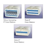 LifeStyle Solutions Futon Mattress Size: Queen