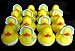 Search : One Dozen (12) Rubber Ducky Duck Baby Shower Party Favors BOY Blue
