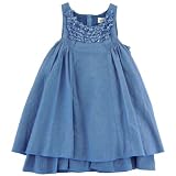Little Maven Girls 2-6x Toddlers Chambray Woven Dress, Chambray, 4T