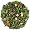 Long Island Strawberry Sencha Green Tea 16 oz (1 lb) bag of loose tea