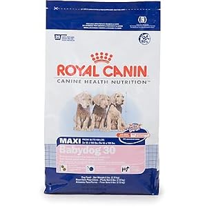 Royal Canin MAXI Canine Health Nutrition Babydog 30
