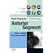 Rapid Diagnosis in Ophthalmology Series: Anterior Segment (Rapid Diagnoses in Ophthalmology)