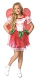 Strawberry Shortcake Fairy Costume