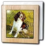 Review 3dRose LLC  / English Springer Spaniel - 6 Inch Tile Napkin Holder