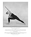 Extended Side Angle Pose - Utthita Parsvakonasana Sports Photographic Poster Print by Karen Greenbaum, 20x24
