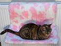 Radiator Hammock Cat Bed From ExtraComfort 54x36cm (21x14 inches). Virtually Indestructable Frame! Guaranteed for 10 Years!