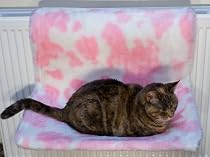 Radiator Hammock Cat Bed From ExtraComfort 54x36cm (21x14 inches). Virtually Indestructable Frame! Guaranteed for 10 Years!