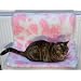 Radiator Hammock Cat Bed From ExtraComfort 54x36cm (21x14 inches). Virtually Indestructable Frame! Guaranteed for 10 Years!