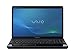 Sony VAIO VPC-EE42FX/BJ 15.5-Inch Widescreen Entertainment Laptop (Black)