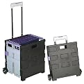 Rolling Craft Organizer Tote