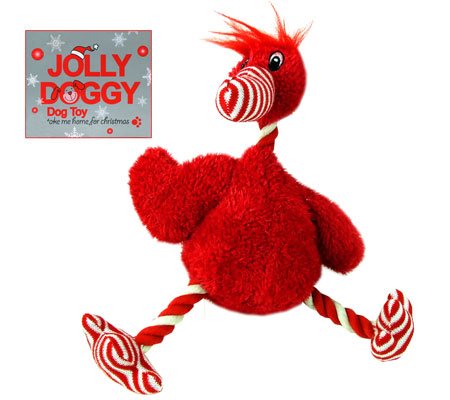 See (Jolly Doggy) Plucky Bird Dog Toy