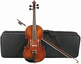 Hans Schuster 380J Full Size Violin Outfit