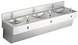 Elkay EDF310C MultiStaion Package Drinking Fountain, Stainless