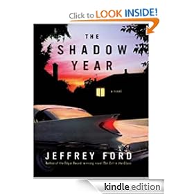 The Shadow Year
