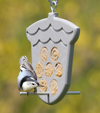 Duncraft Acorn Peanut Butter Feeder