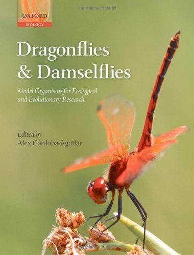 Dragonflies and Damselflies: Model Organisms for Ecological and Evolutionary Research