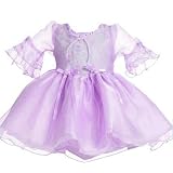 Infant Girls Fancy Dress - Lilac Organza with Embroidery (Size 6M - 24M)