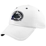 Nittany Lion Hats : Zephyr Nittany Lion White Flurry Fitted Hat