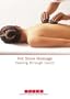 Hot Stone Massage - Healing Through Touch DVD w/ CEU Exam & 18 Page User Manual