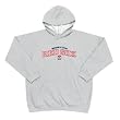 Boston Red Sox MLB Youth JV" Hooded Sweatshirt (Heather Grey)"