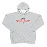 Boston Red Sox MLB Youth JV Hooded Sweatshirt (Heather Grey)
