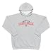 Boston Red Sox MLB Youth JV Hooded Sweatshirt (Heather Grey)