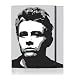 Wrappz 3M Vinyl Cover: James Dean (PS3)