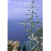 On The Backroads of Cote d'Azur DVD [Region 2]
