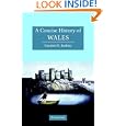 A Concise History of Wales (Cambridge Concise Histories) (Cambridge Concise Histories) by Geraint H. Jenkins