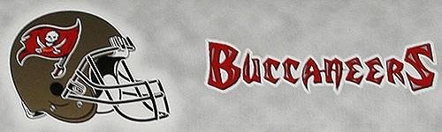 Tampa Bay Buccaneers Car Trim Magnet