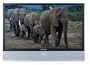 Samsung HLP6163W 61-Inch HDTV Monitor with DLP Technology