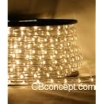 Warm white 50 FT 110V-120V LED Rope light Kit, 1.0" LED spacing, Christmas Lighting, Outdoor rope light $98.99