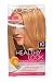 L'Oreal Paris Healthy Look Crème Gloss Color, Medium Blonde/Vanilla Crème 8