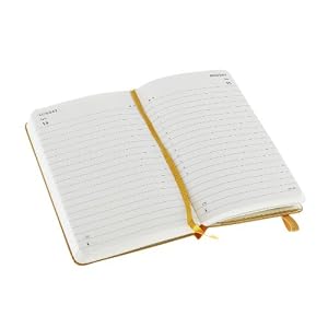 Daily small diary, Le petit prince, hard dark yellow