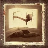 Straylight Run