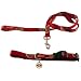 PET SET-LARGE -SF 49'ERS - Large
