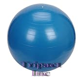 Seen On TV Exercise Burst Resistant Fitness Ball 75cm Yoga Stability Gym