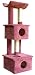 The Sugar Kitty Gym : Color BEIGE : Size ONE SIZE