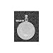 SE Louisiana Lions Solid Sterling Silver School Of Nursing Pendant