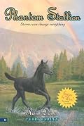 Phantom Stallion #12: Rain Dance (Phantom Stallion)