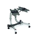 Best Buy Bowflex SelectTech 552 / 1090 Dumbbell Stand Sale