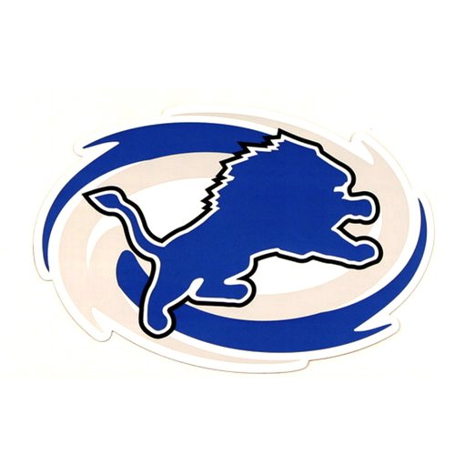 DETROIT LIONS NFL Car Sport Magnet Bright Colors Big New 12