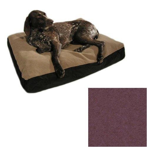 big shrimpy dog beds